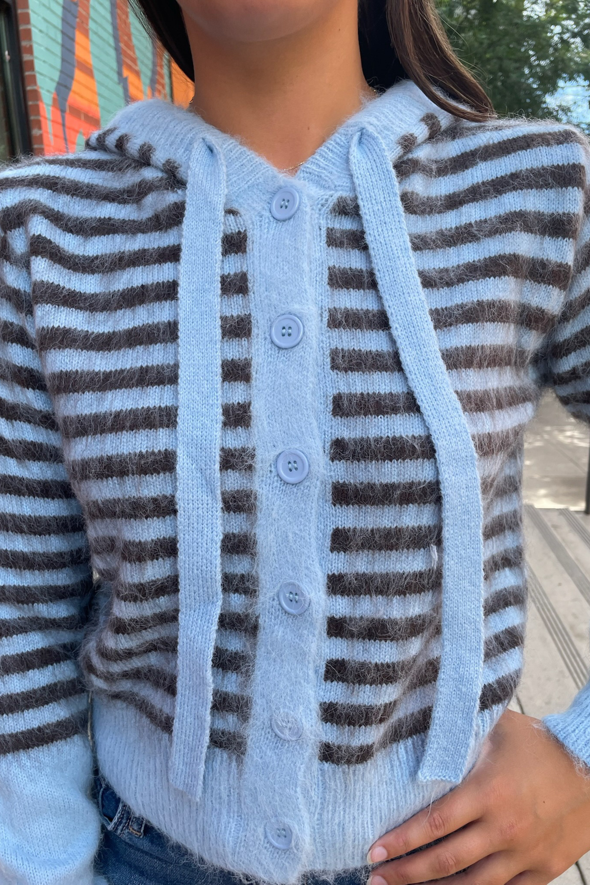 Sasha Stripe Hooded Cardigan - Blue/Brown