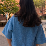 Anne Knit Cropped Sweater - Blue