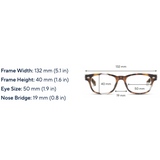 Clark Focus Blue Light Readers - Tortoise